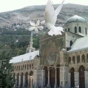 Meet your Posher, Kinda